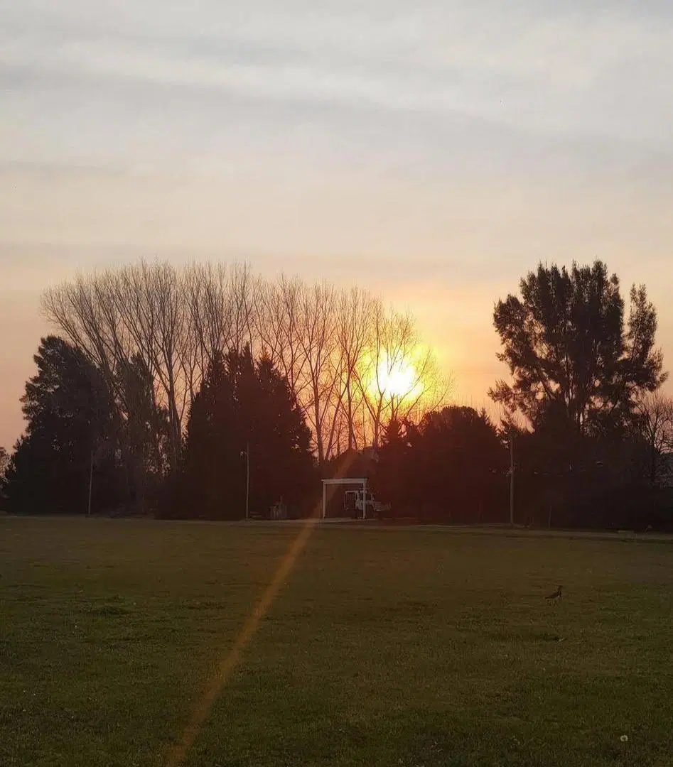 Terreno en venta - 1000Mts2 - General Rodríguez 5