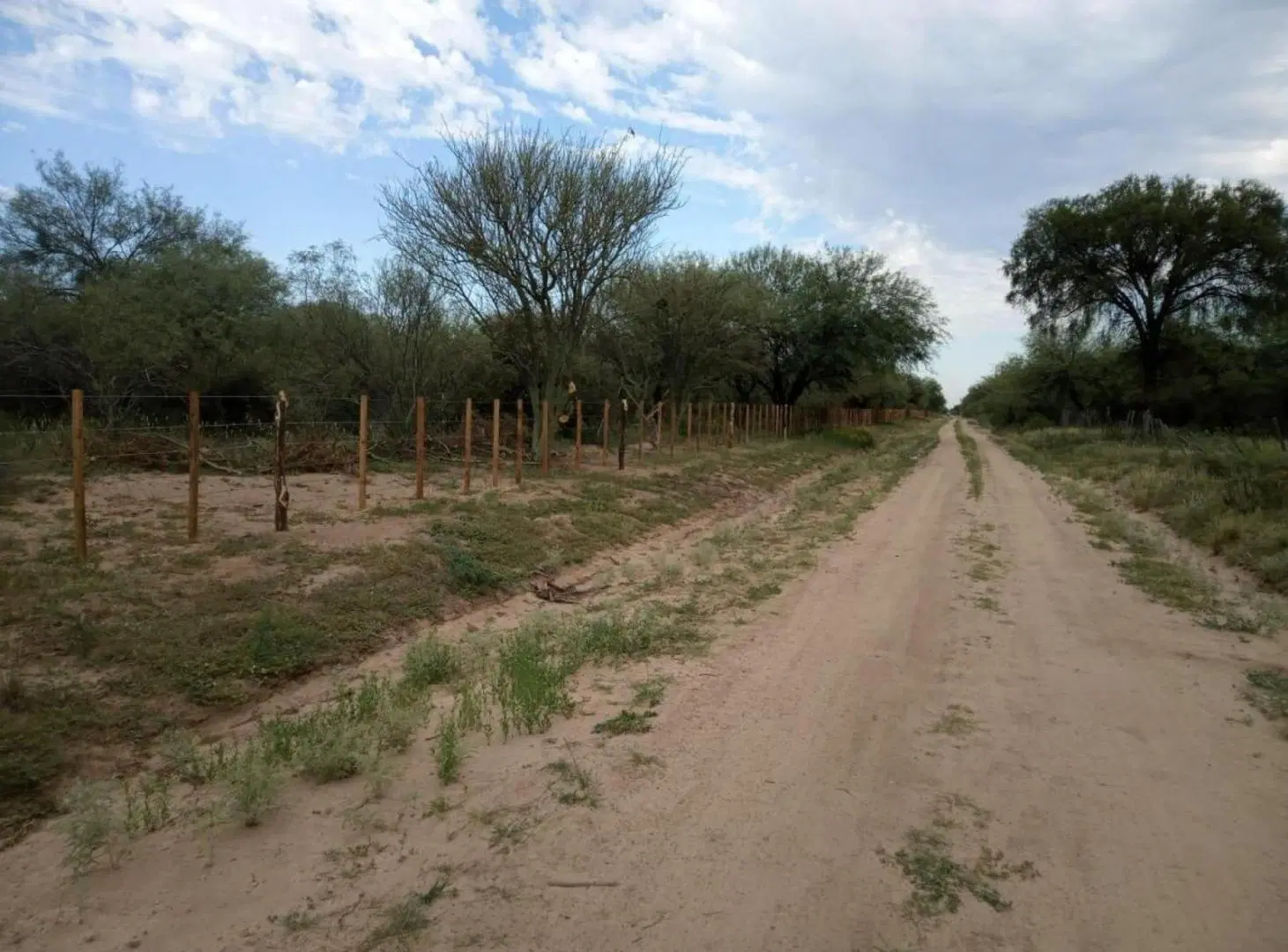 Campo en venta - 2000 HA - Córdoba 4