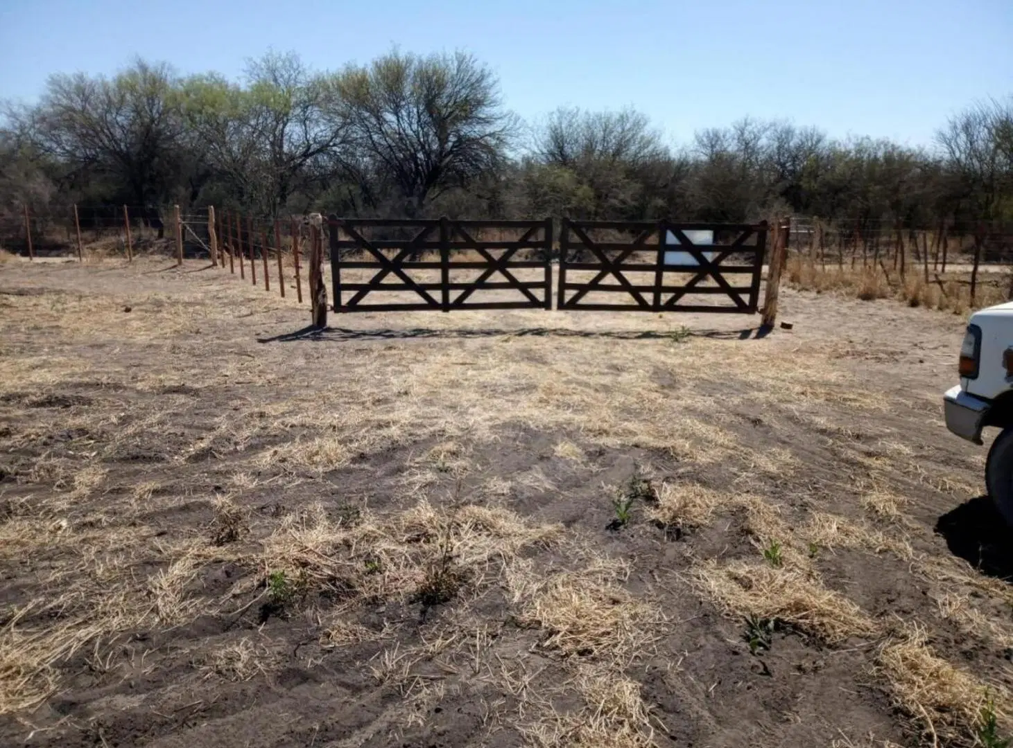 Campo en venta - 2000 HA - Córdoba 3