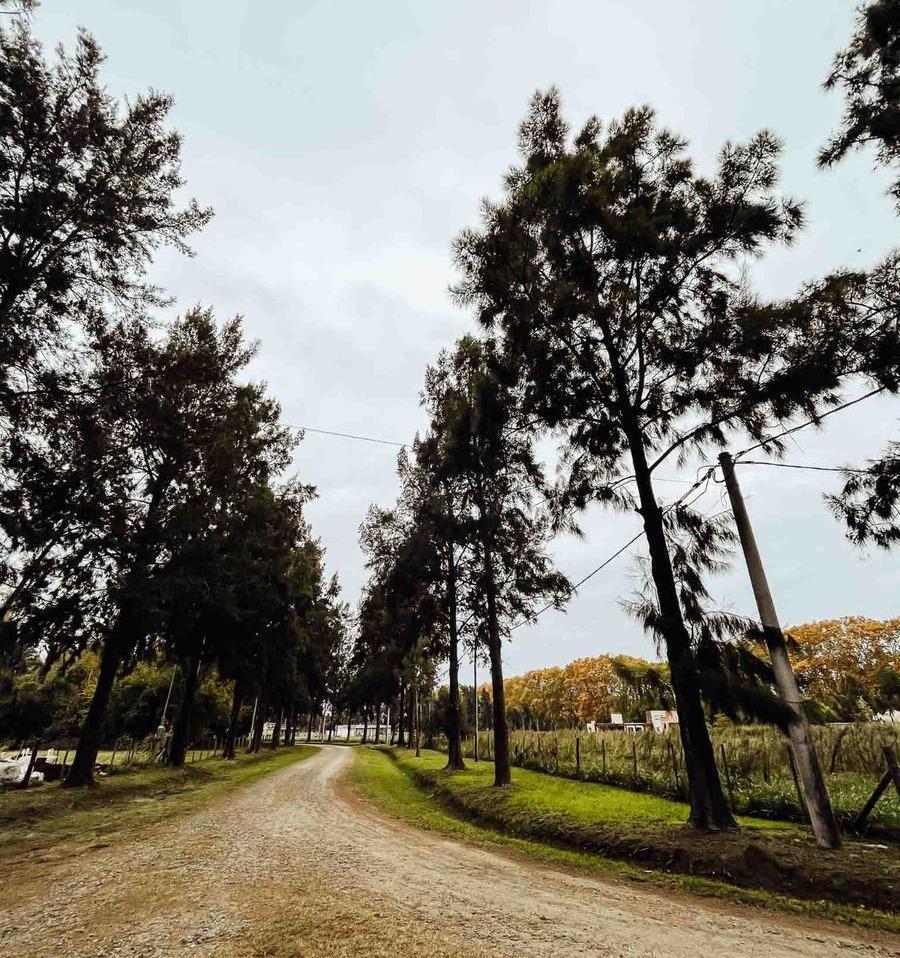 Terreno en venta - 7.916Mts2 - Coronel Brandsen