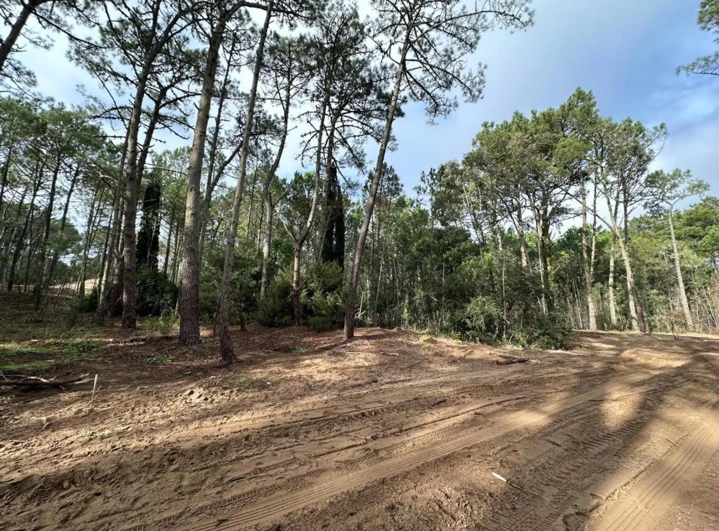 Terreno en venta - 1.200Mts2 - Cariló 3