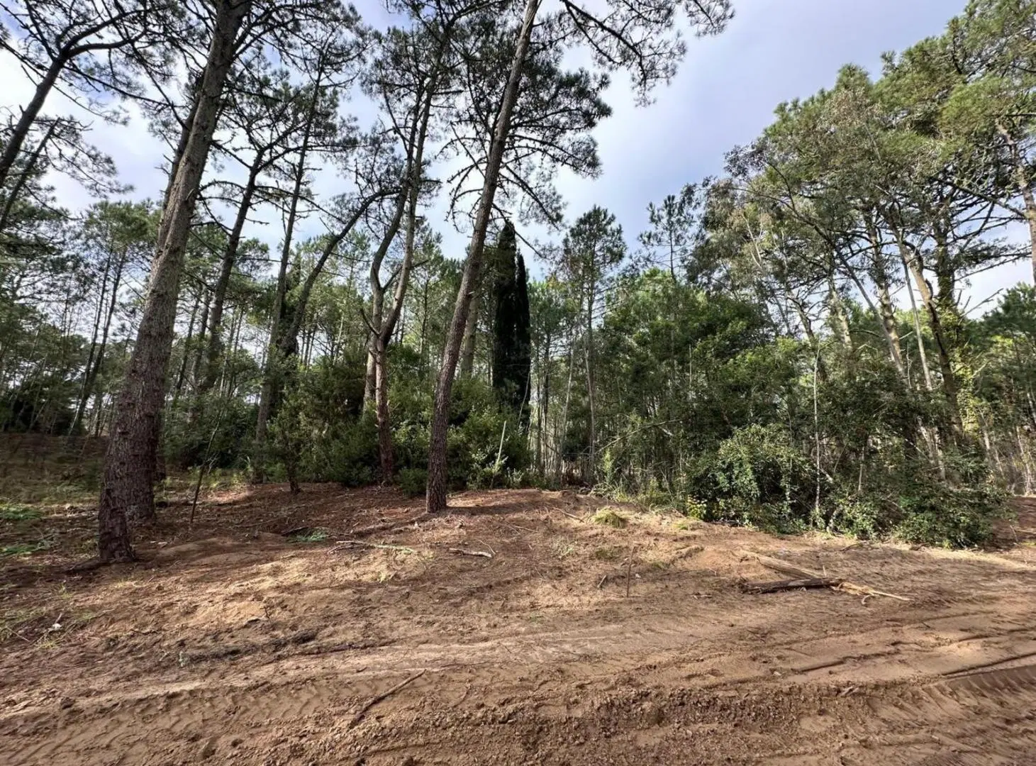 Terreno en venta - 1.200Mts2 - Cariló 4