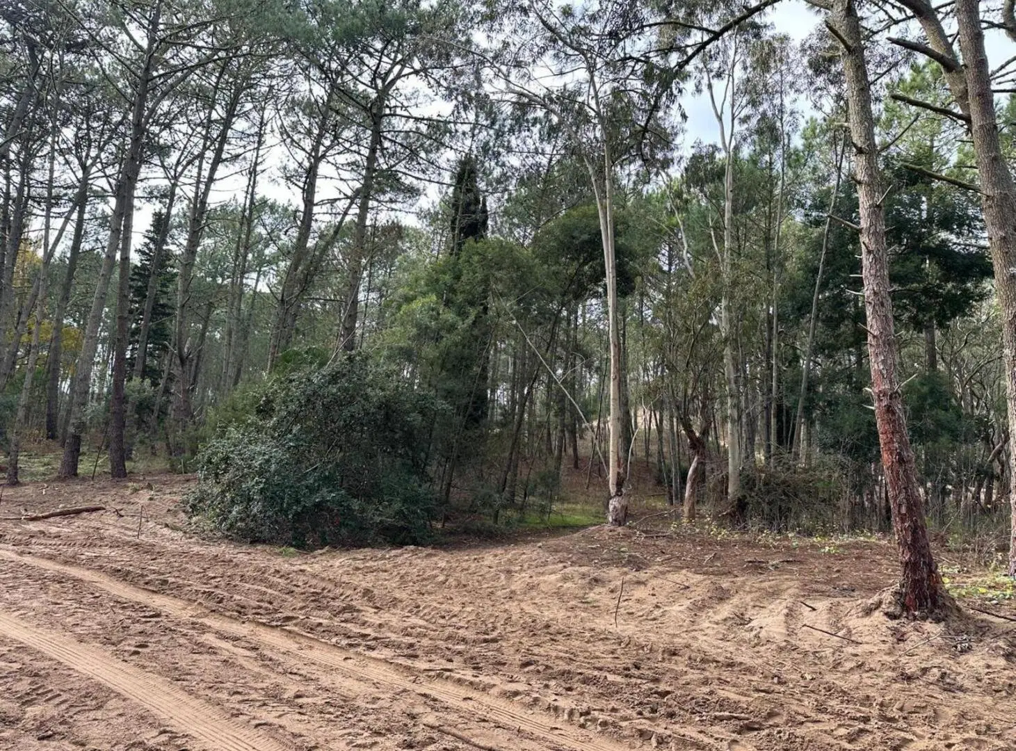 Terreno en venta - 1.200Mts2 - Cariló 2
