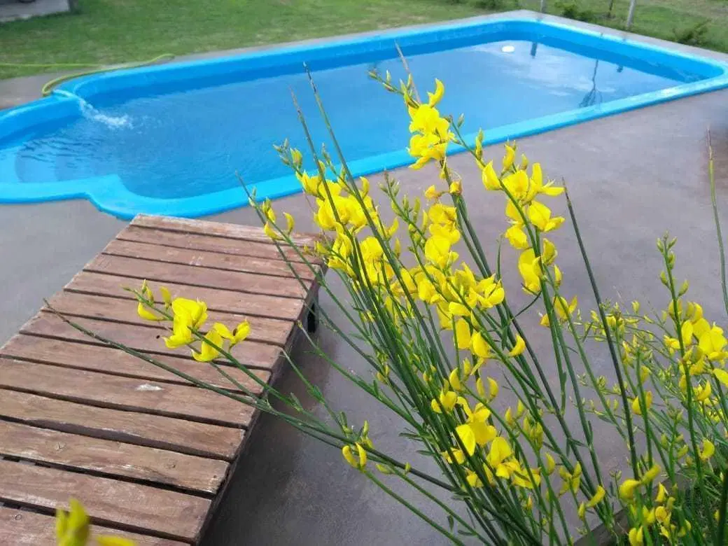 Casas en venta - 1 dormitorio 1 baño - 200mts2 - Bolivar 4