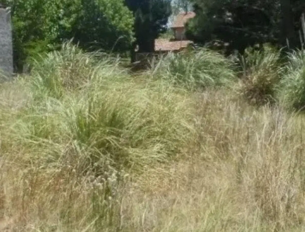Terreno  venta 15 x 35.92 mts - 539 mts 2 totales- Aguas Verdes 4