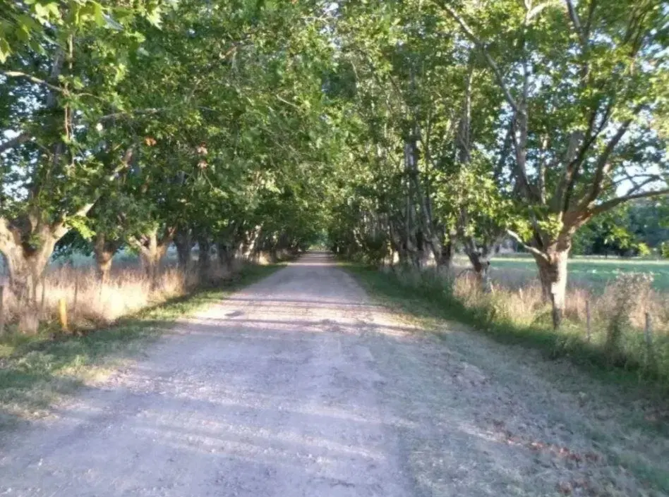 Terreno venta  4185.53mts2 totales  - Estancia Las Malvinas 3