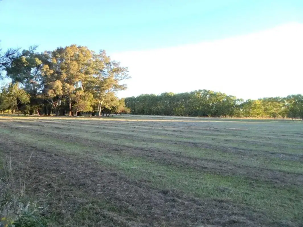 Terreno venta  4185.53mts2 totales  - Estancia Las Malvinas 2