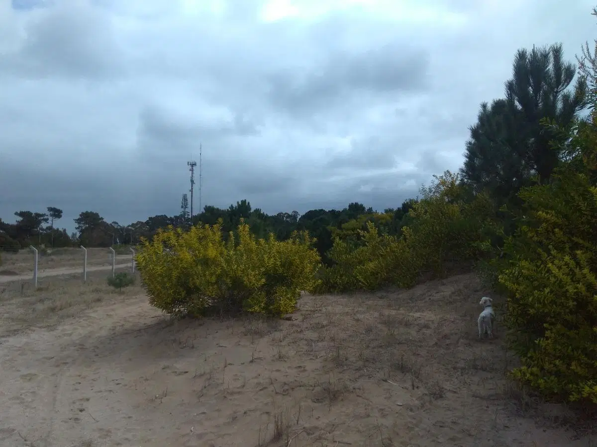 Terreno en venta - 850Mts2 - Barrio Ecuestre, Costa Esmeralda 5