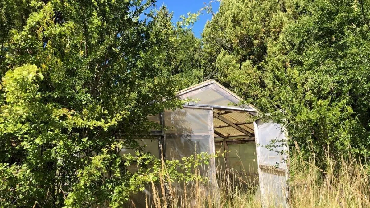 Campo en venta - 1 Ha - Trevelín 5