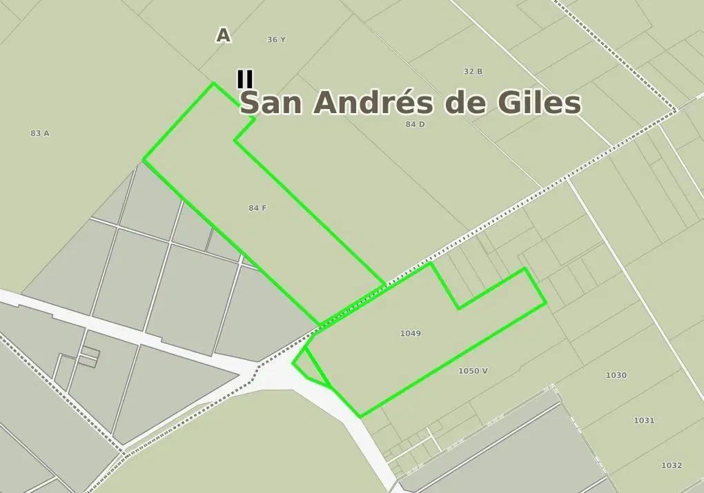 Terreno en venta -  120 Hectáreas - San Andrés de GIles 4