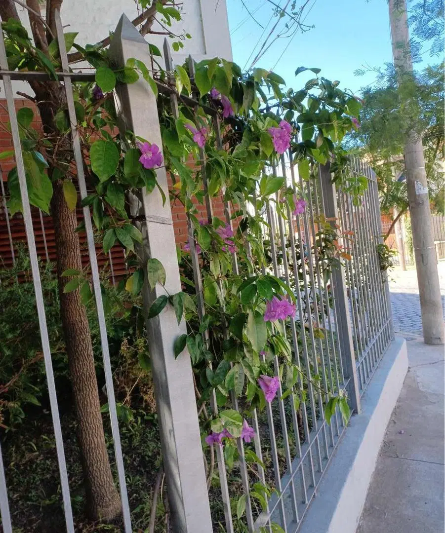 Casa en venta - 4 Dormitorios 2 Baños - Cochera - 310Mts2 - Villa Sarmiento, Morón 5