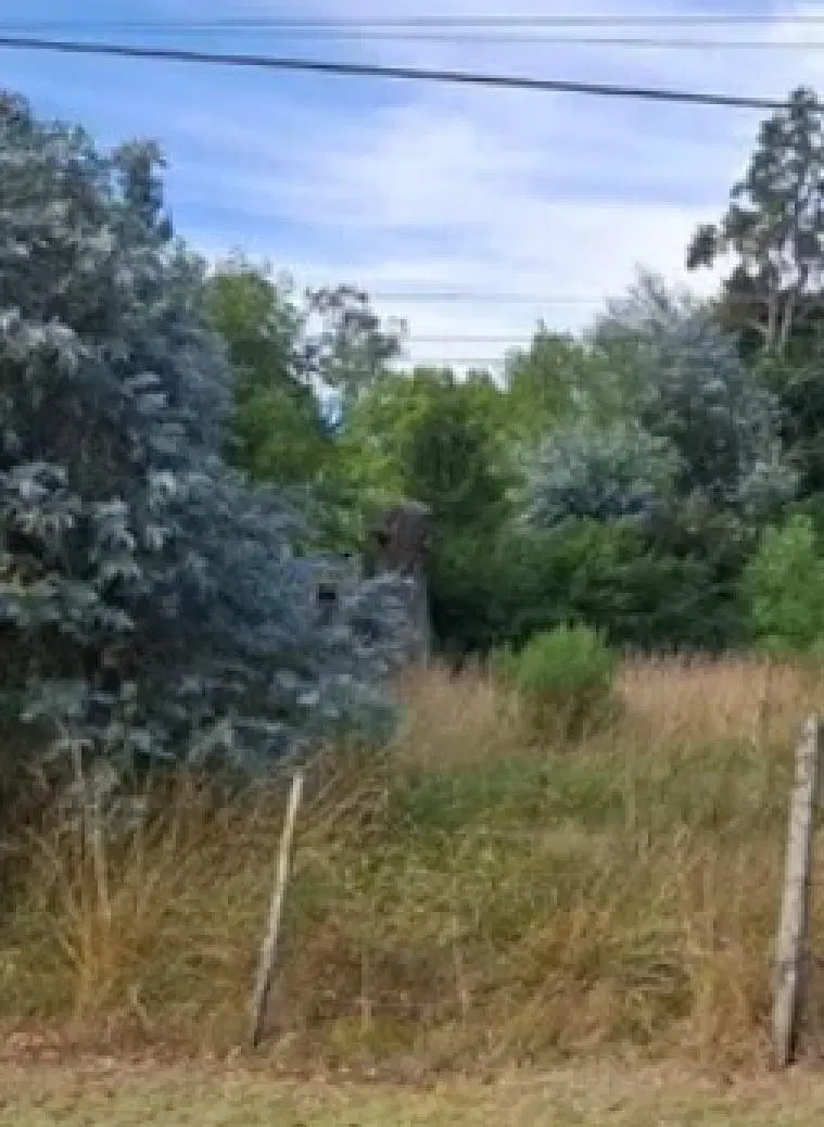 Terreno en venta - 1.200Mts2 - El Rodeo, La Plata 4