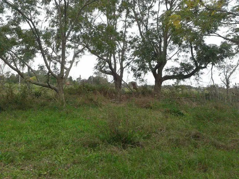 Terreno venta - 306mts2 totales - Ranelagh 2