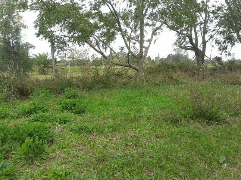 Terreno venta - 306mts2 totales - Ranelagh 1