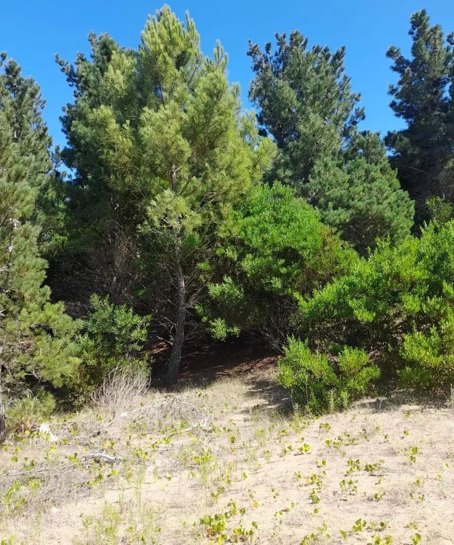 Terreno en venta - 900 mts2 - Ecuestre, Costa Esmeralda 3