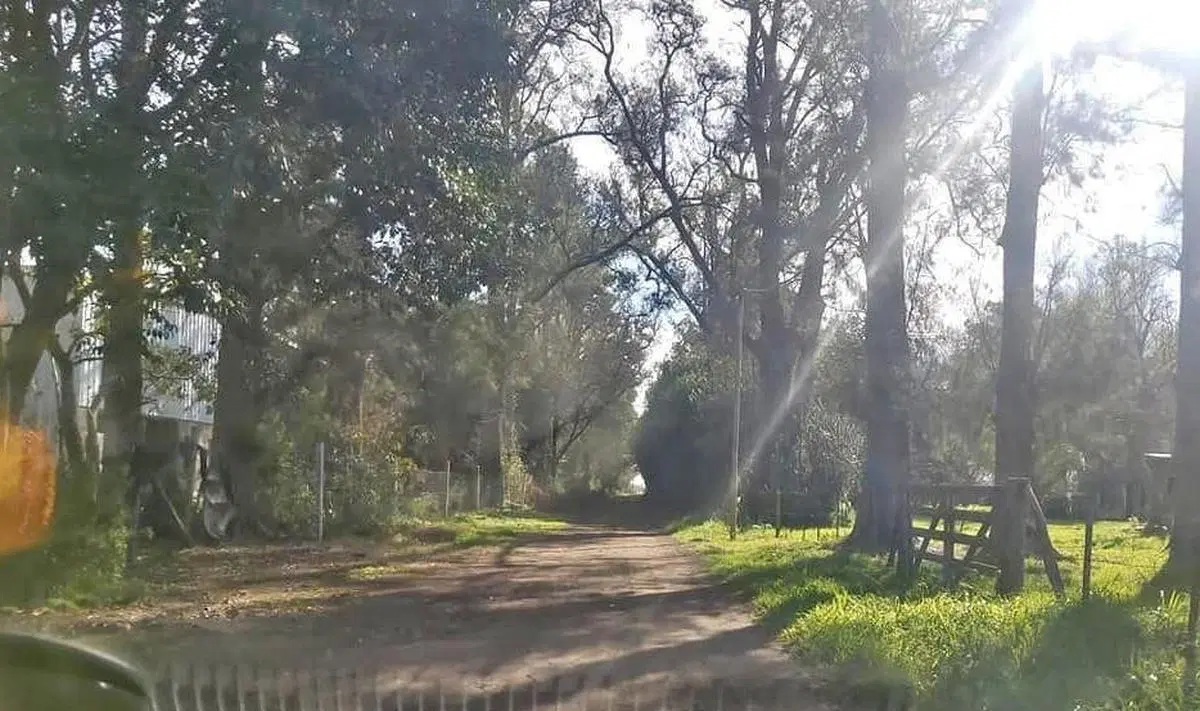 Terreno en venta - 1000Mts2 - Arturo Seguí, La Plata 5