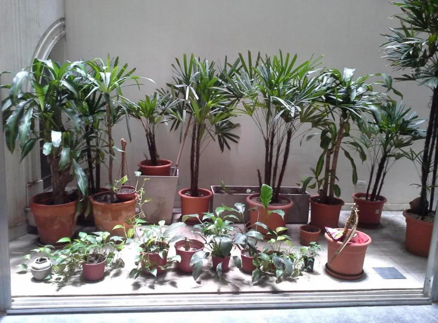 Departamento en venta - 3 Dormitorios 3 Baños - Balvanera 4