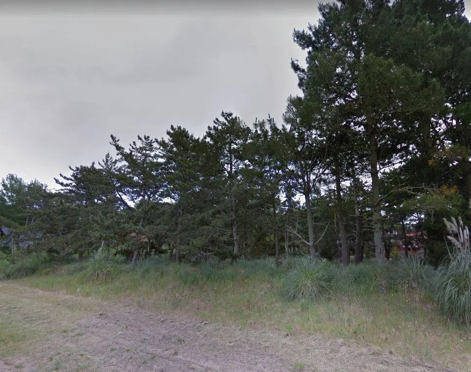 Terreno en venta - 555mts2 - Costa Del Este 2
