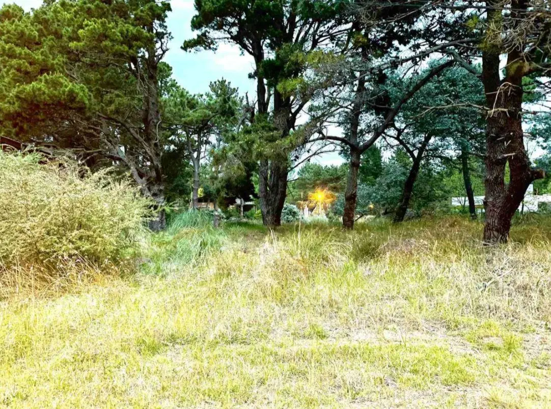 Terreno en venta - 555mts2 - Costa Del Este 4