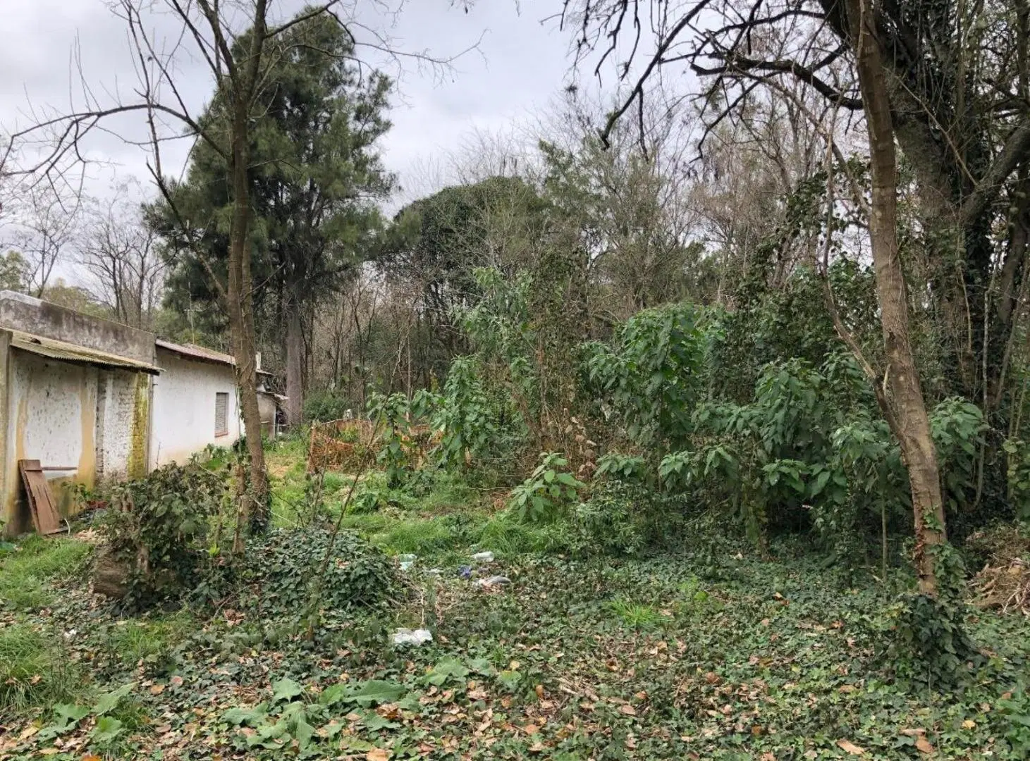 Terreno en venta - 10.066Mts2 - San Vicente 5