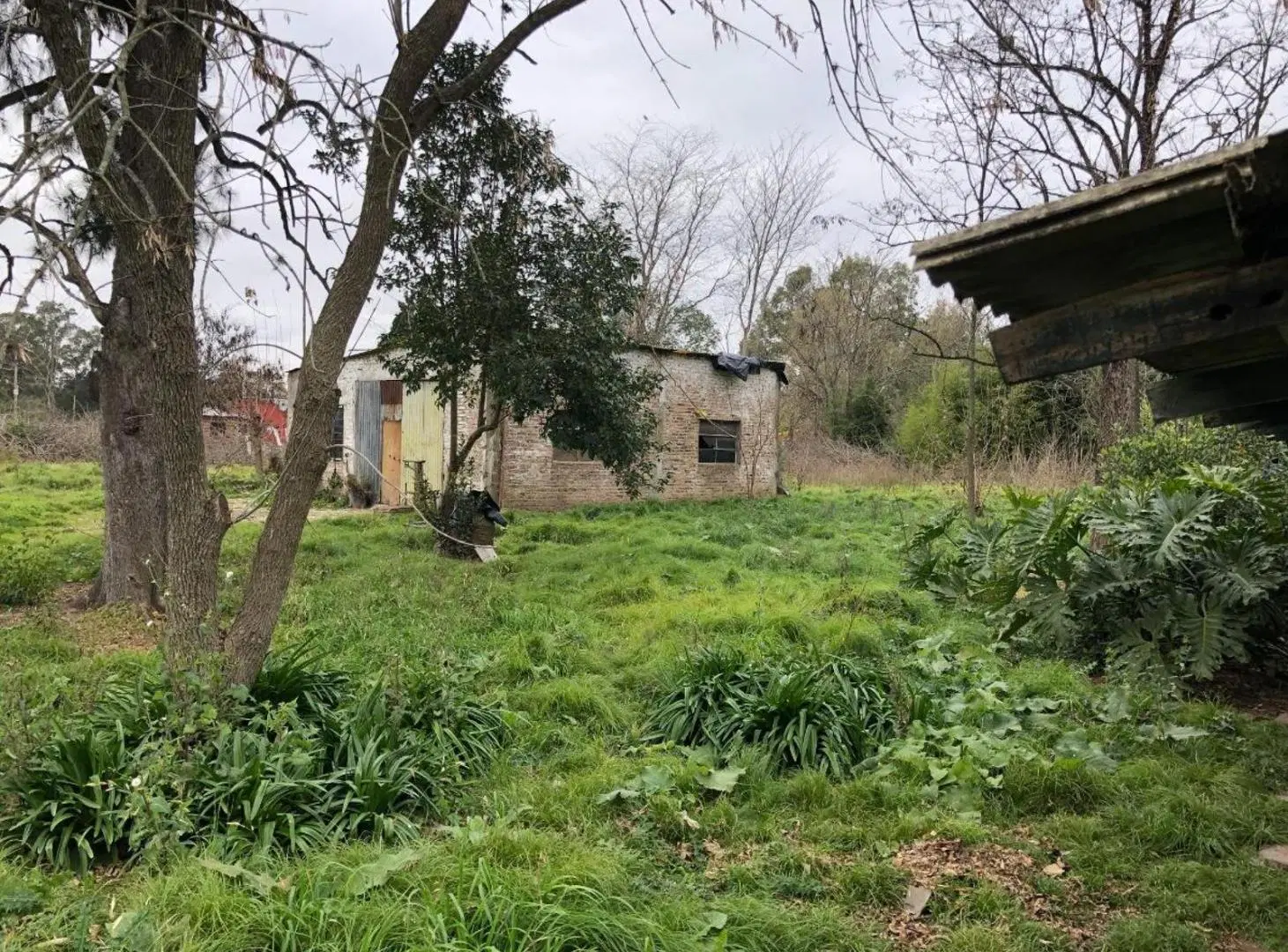 Terreno en venta - 10.066Mts2 - San Vicente 4