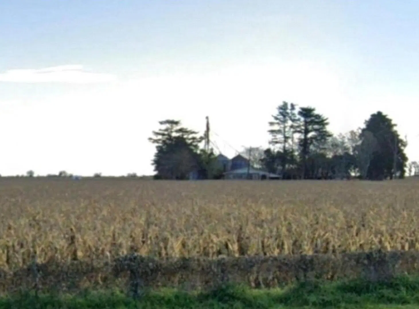 Campo en venta - 1537Ha - Santa Fe 2