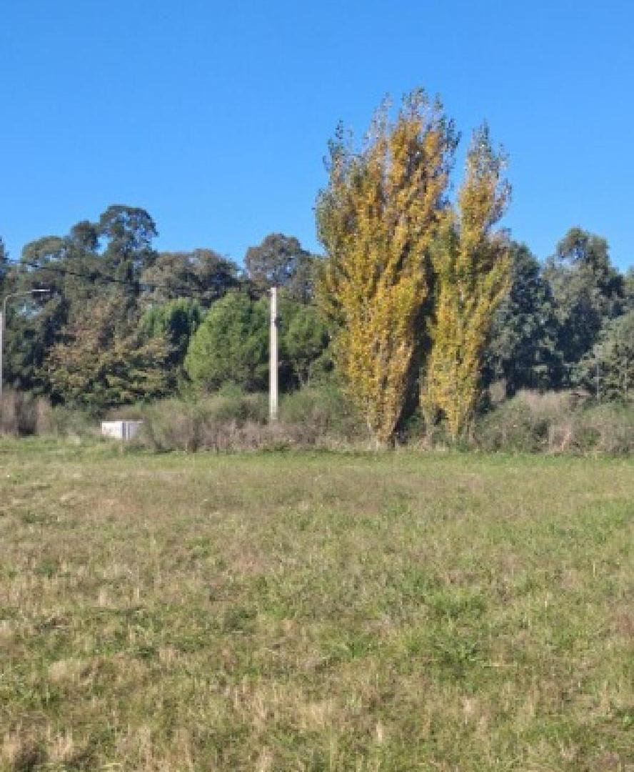 Terreno en venta - 1.045Mts2 - Azul