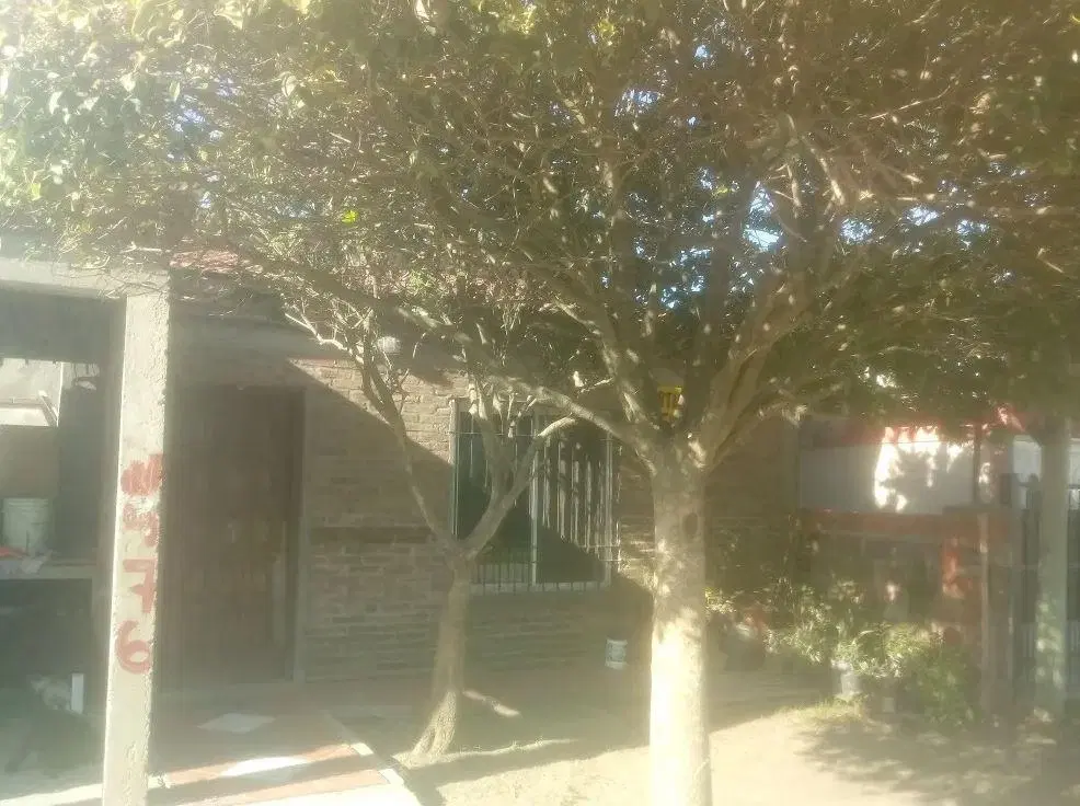 Terreno en venta - 161mts2 - Abasto, La Plata 2
