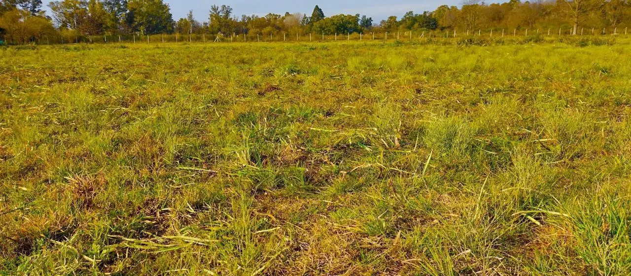 Terreno en venta - 4.000Mts2 - General Rodríguez 4