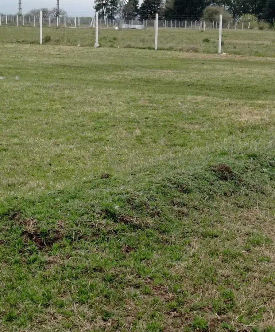 Terreno en venta - 4.000Mts2 - General Rodríguez 3