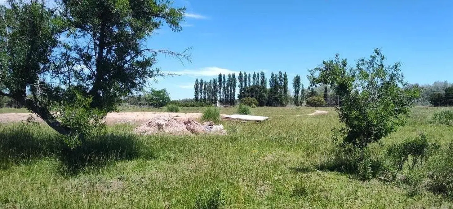 Terreno en venta - 38.183Mts2 - Estancia Benqueria, Monte 5
