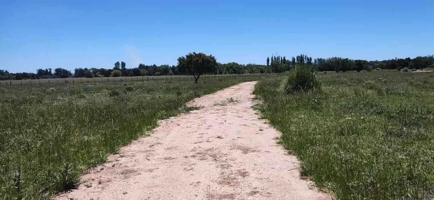 Terreno en venta - 38.183Mts2 - Estancia Benqueria, Monte