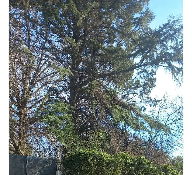 Terreno en venta - 640Mts2 - Pilar 5