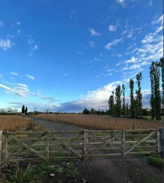Campo en venta - 80.000mts2 - Exaltación de La Cruz 5