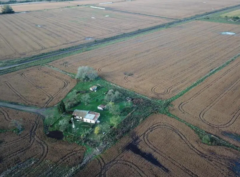 Campo en venta - 80.000mts2 - Exaltación de La Cruz 2