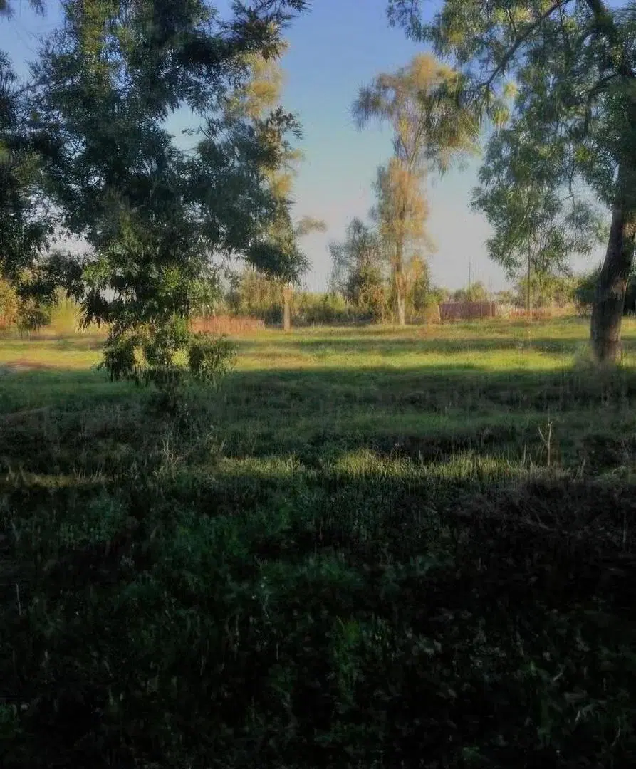 Terreno en venta - 264mts2 - Los Hornos, La Plata 1