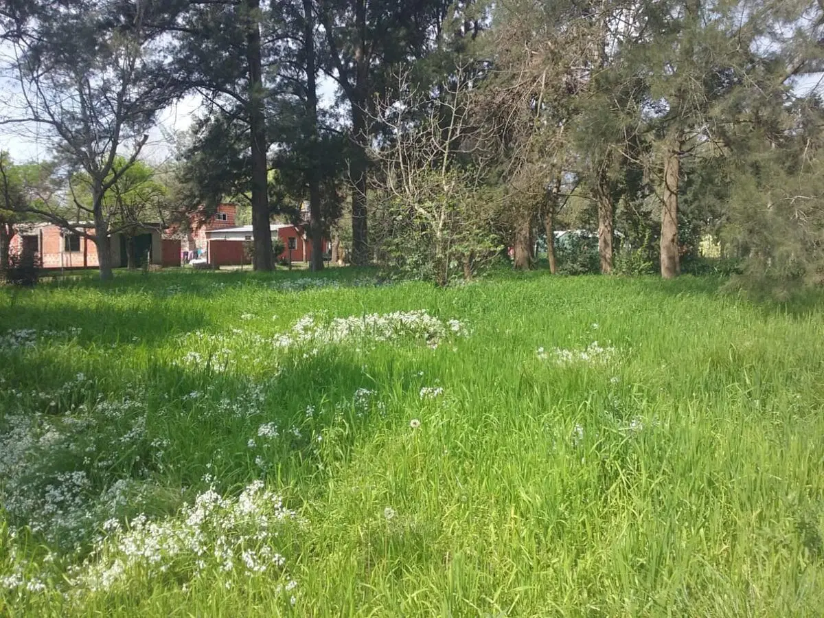 Quinta en venta - 1 Dormitorio 1 Baño - 2000 mts2 - Lobos 2
