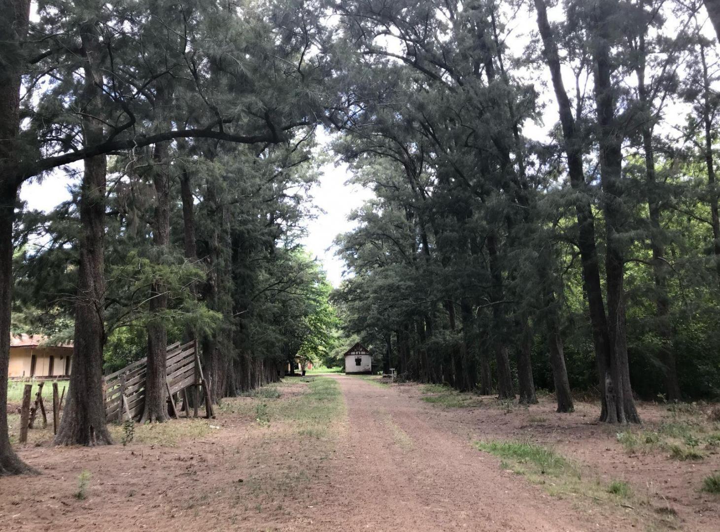Campo en alquiler - 14 Dormitorios 4 Baños - 50.000Mts2 - Tristán Suarez