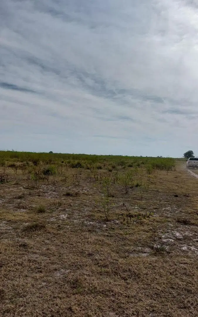 Campo en venta - 15.000 Hectáreas - Santa Fe 5
