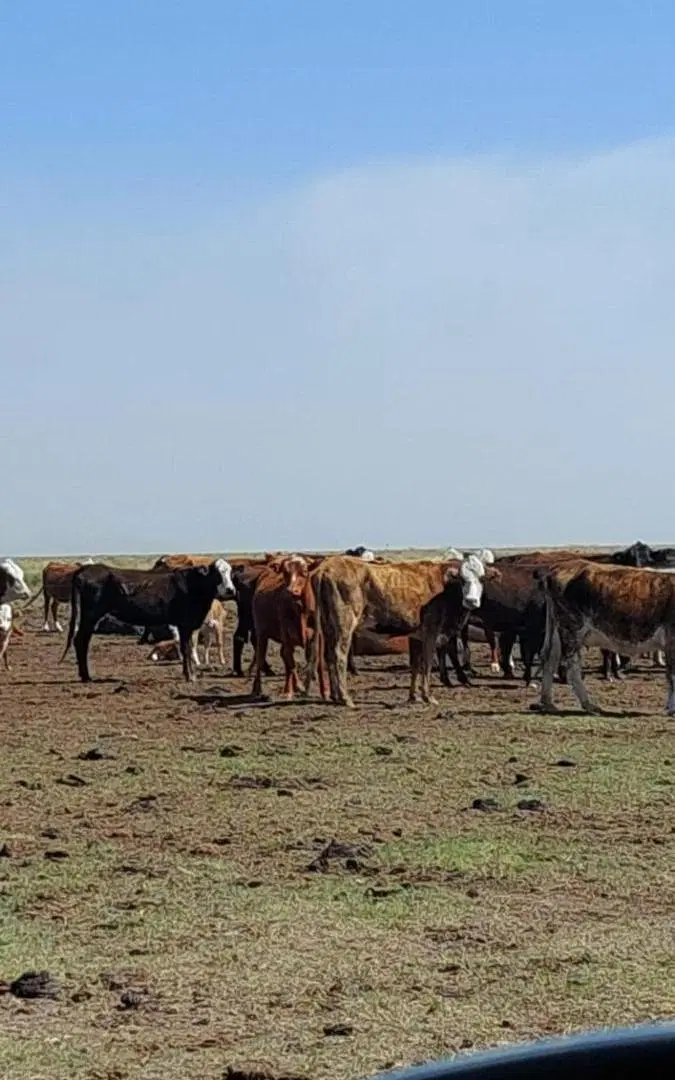 Campo en venta - 15.000 Hectáreas - Santa Fe 3