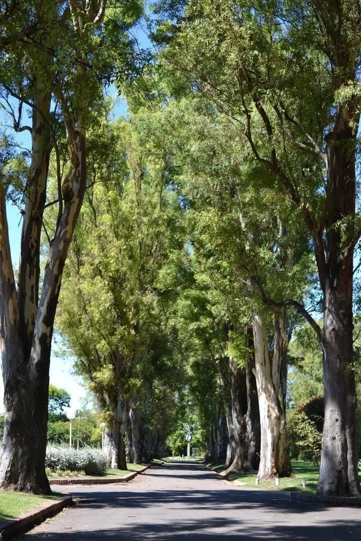 Terreno en venta - 1.000Mts2 - Los Cardales Country Club, Campana 2