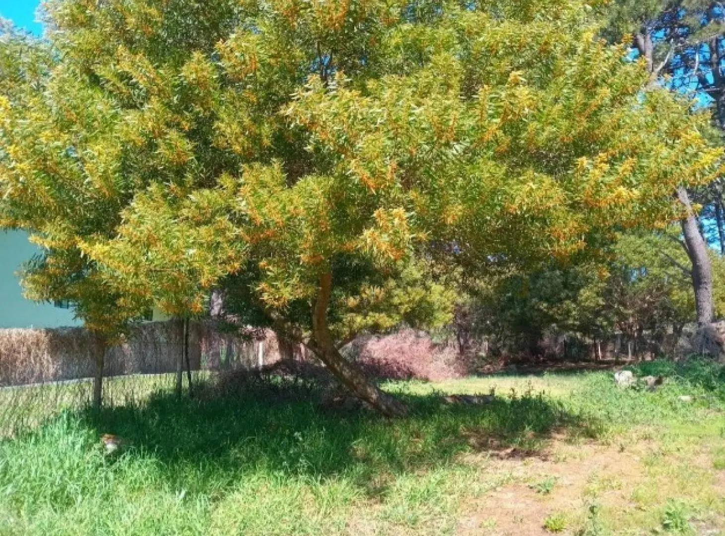 Terreno en venta - 675Mts2 - Mar de Las Pampas 3