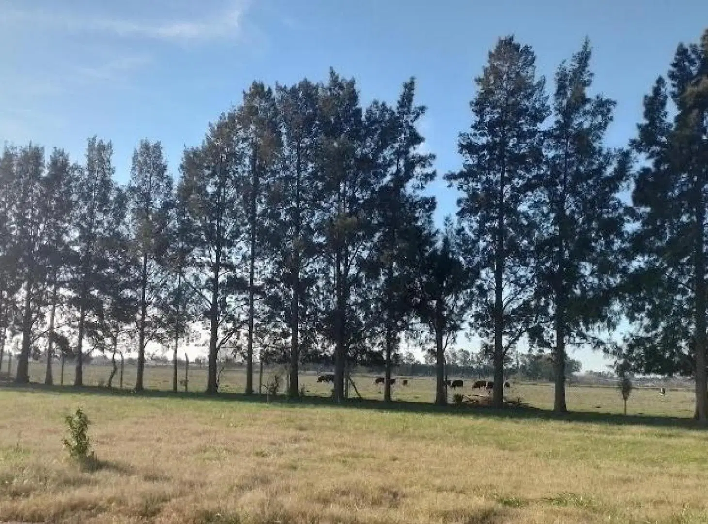 Terreno en venta - 608Mts2 - San José, Abasto, La Plata 1