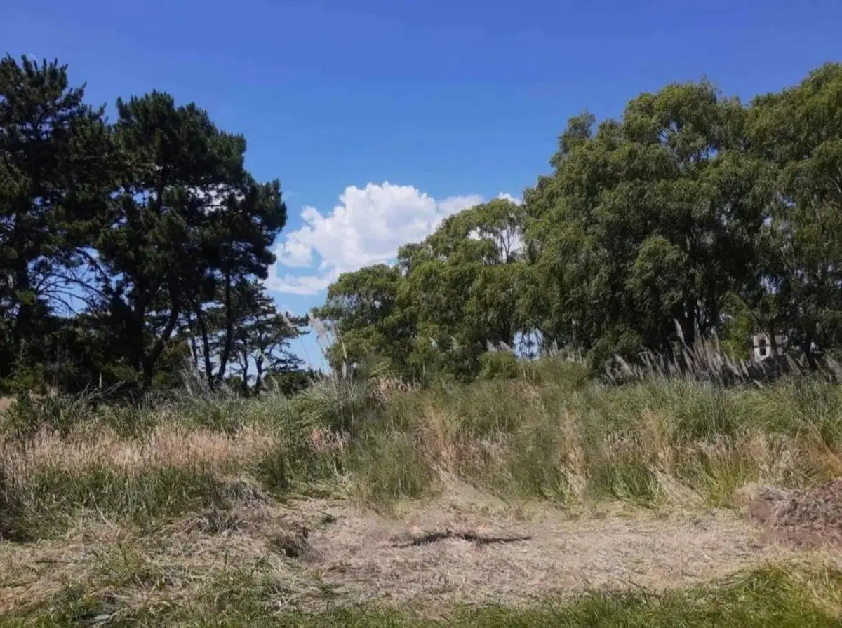 Terreno en venta - 479mts2 - Costa Del Este 3