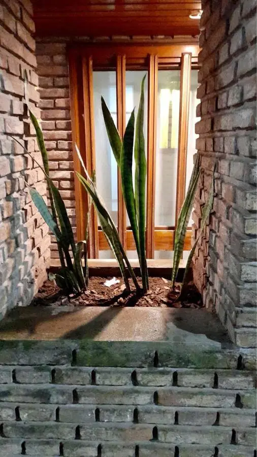 Casa en venta - 3 dormitorios 1 baño - 180mts2 - Chivilcoy 5