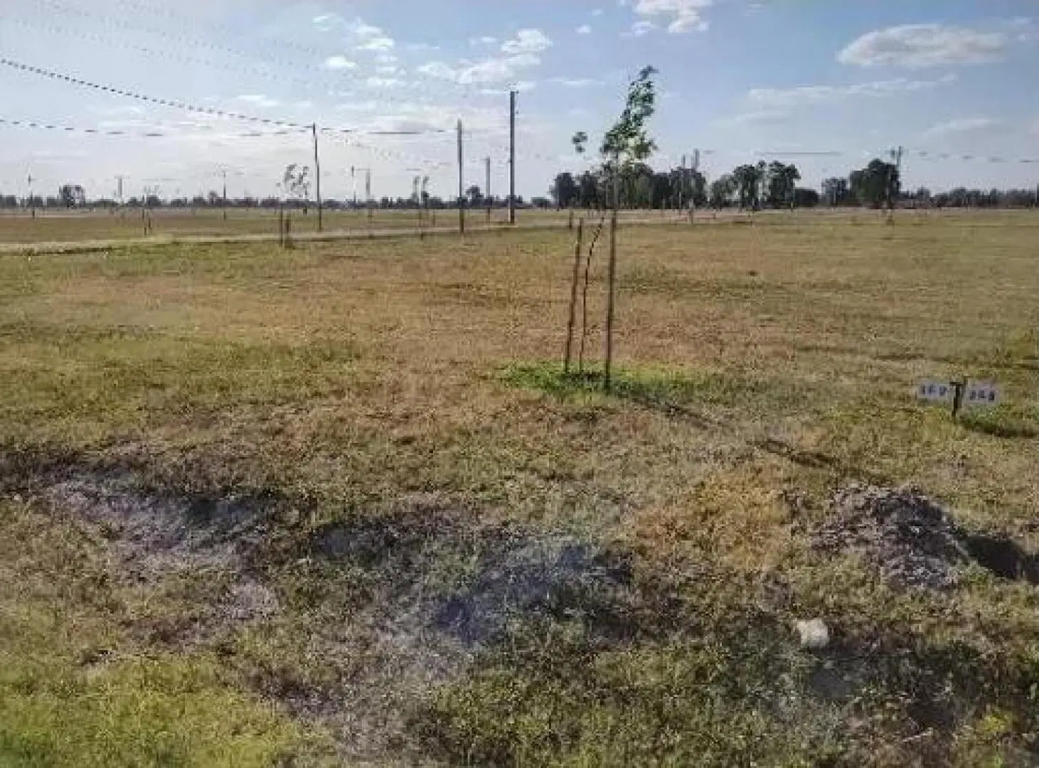 Terreno en venta - 650Mts2 - Finca Joven 5