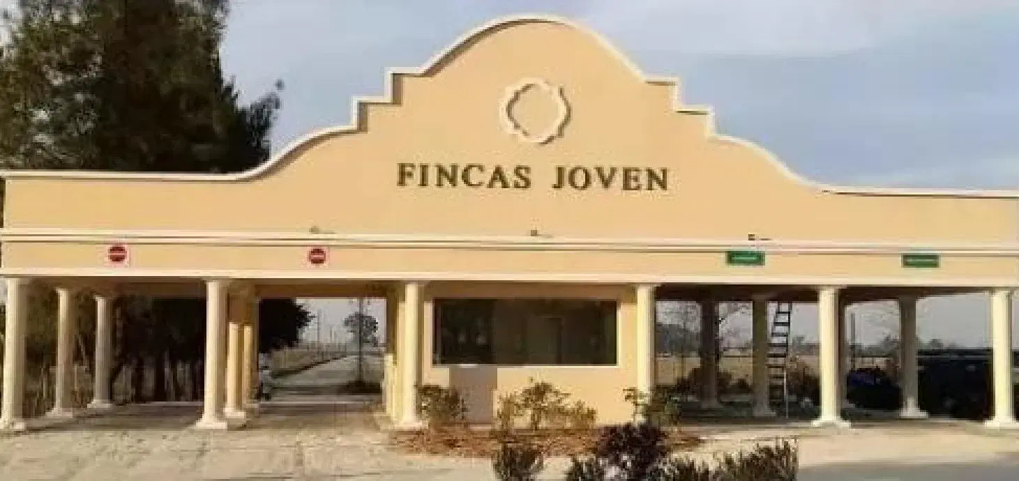 Terreno en venta - 650Mts2 - Finca Joven 2