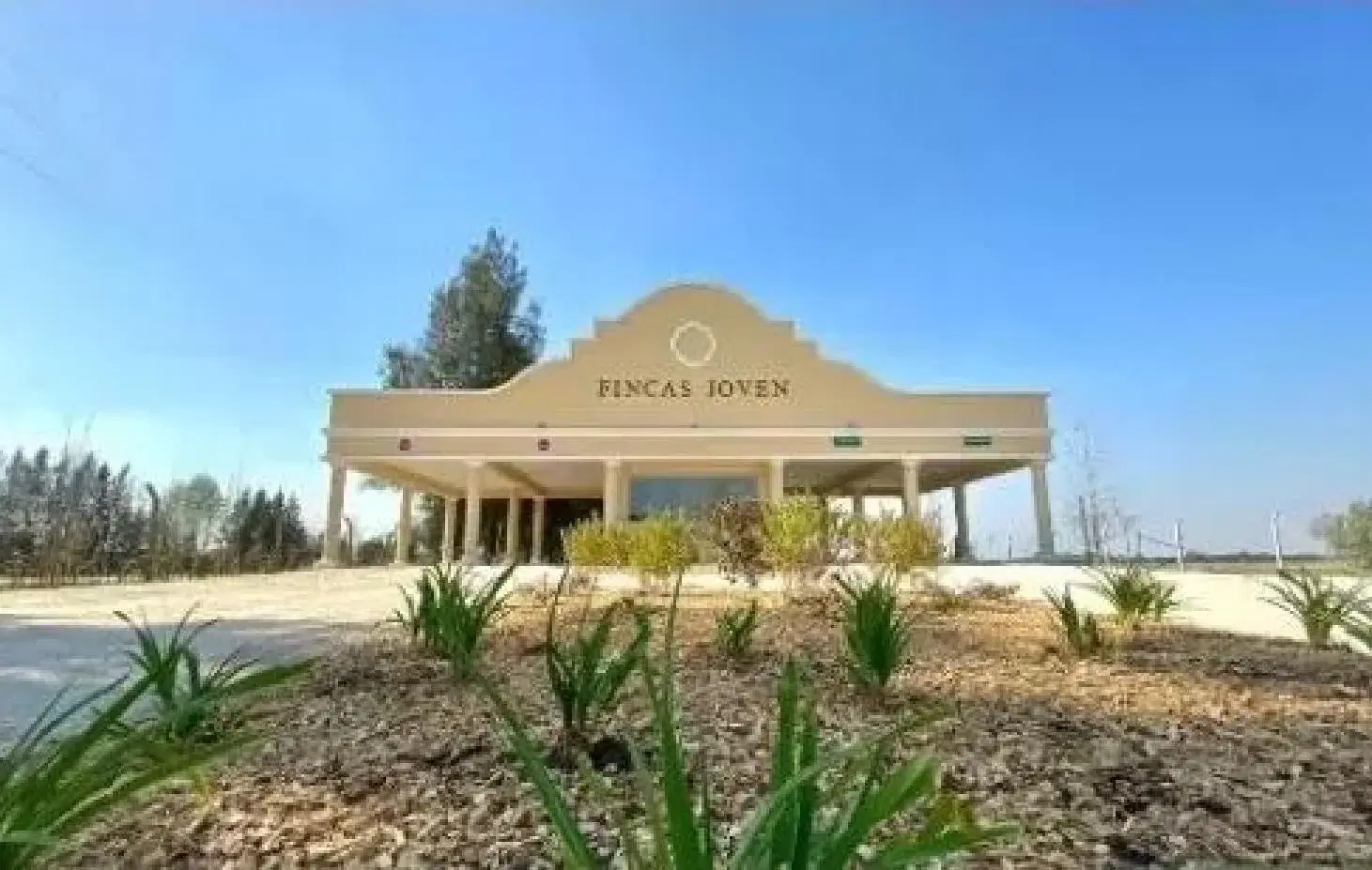 Terreno en venta - 650Mts2 - Finca Joven 3
