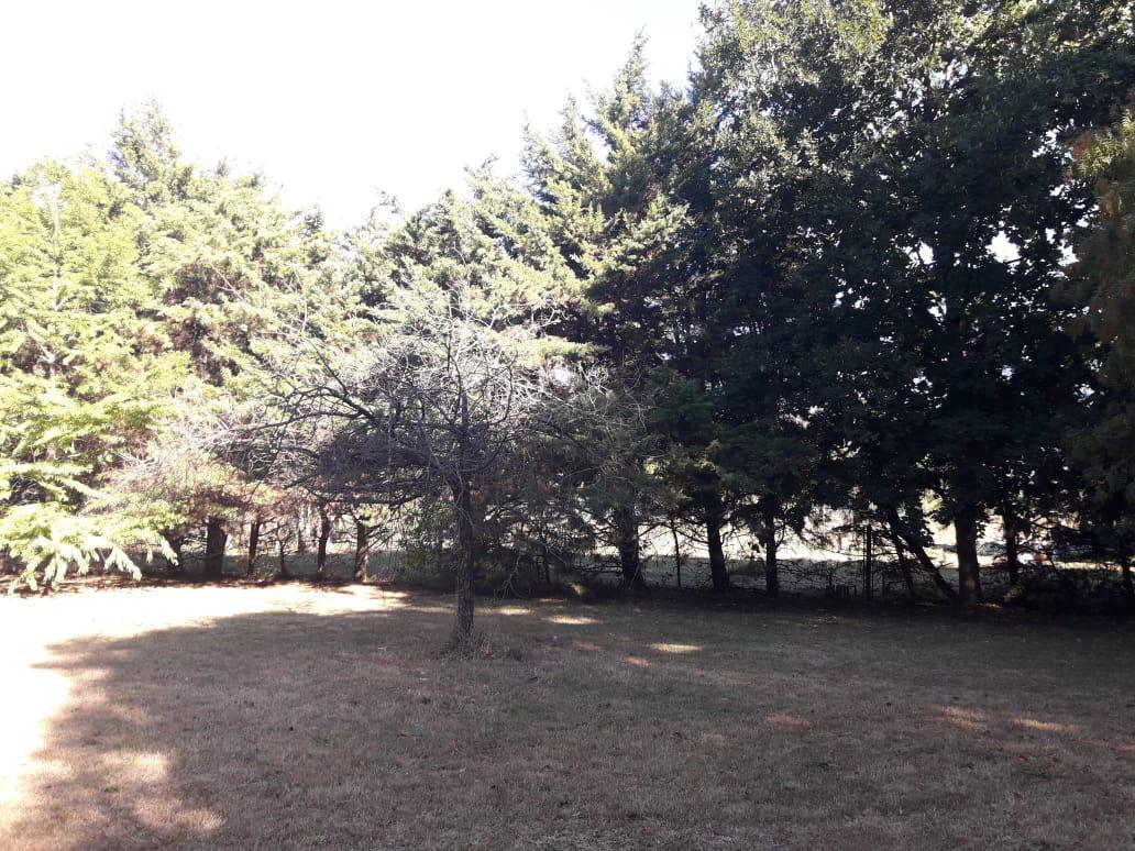 Terreno venta - 20x56mts - 1119mts2 totales - El Rodeo, Abasto, La Plata