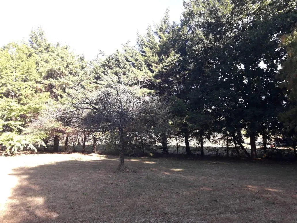 Terreno venta - 20x56mts - 1119mts2 totales - El Rodeo, Abasto, La Plata 2